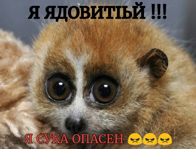 60 удивительных фактов о природе