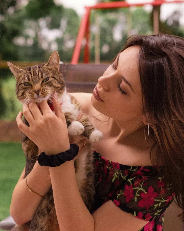 Девушки котовторника