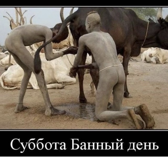 Картинки и мемы, всем прекрасных выходных