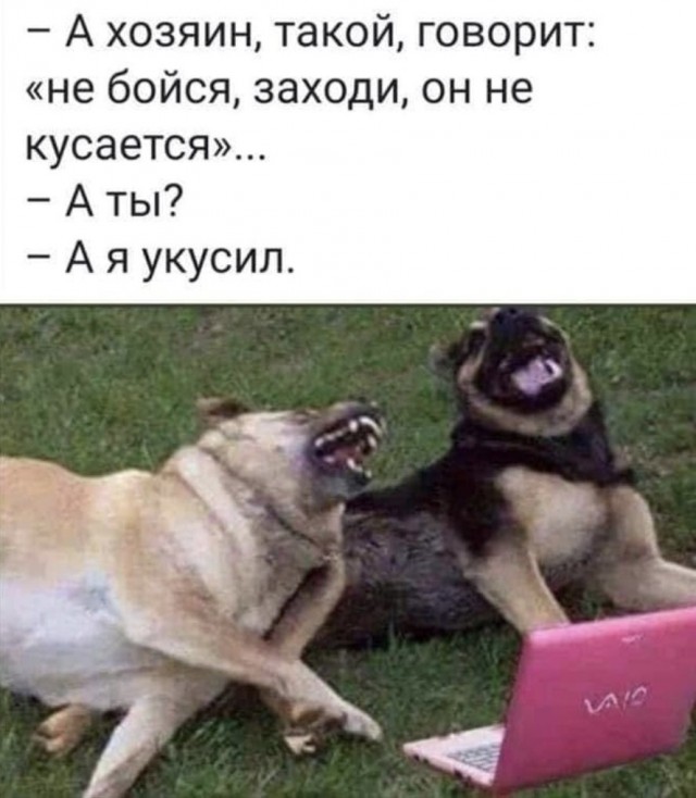 Так себе картинки 18.09.21