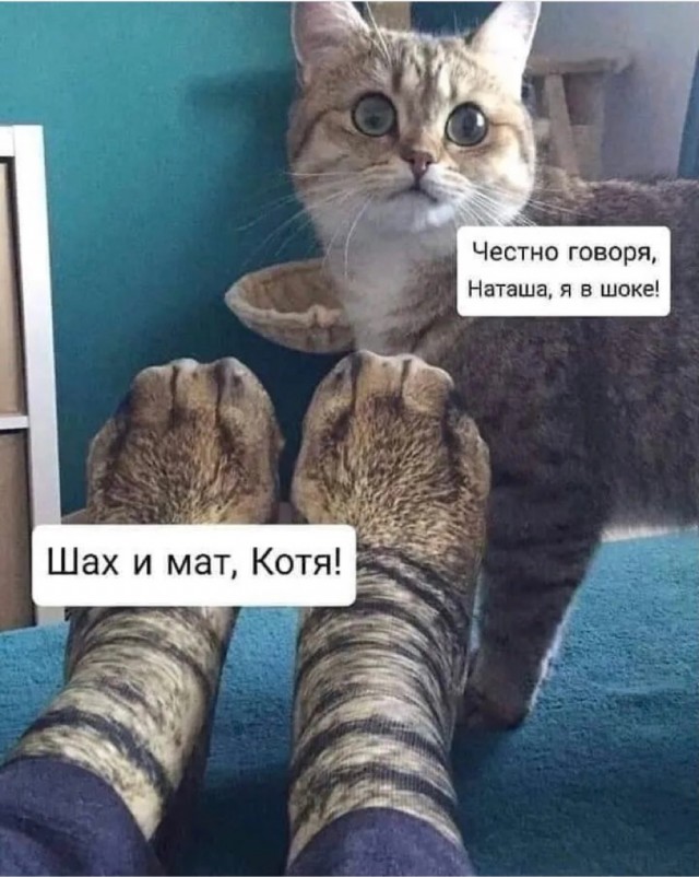 Весёлый полтишок 02.10