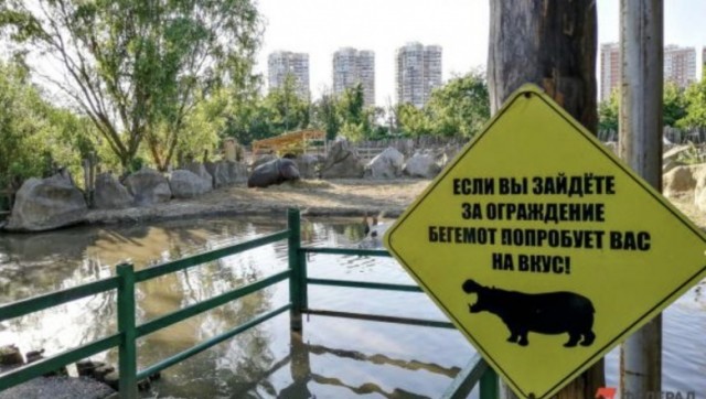 Так себе картинки 31.10.21