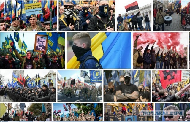 В Минобороны заявили, что ВС России завершают разгром нацбата «Донбасс»