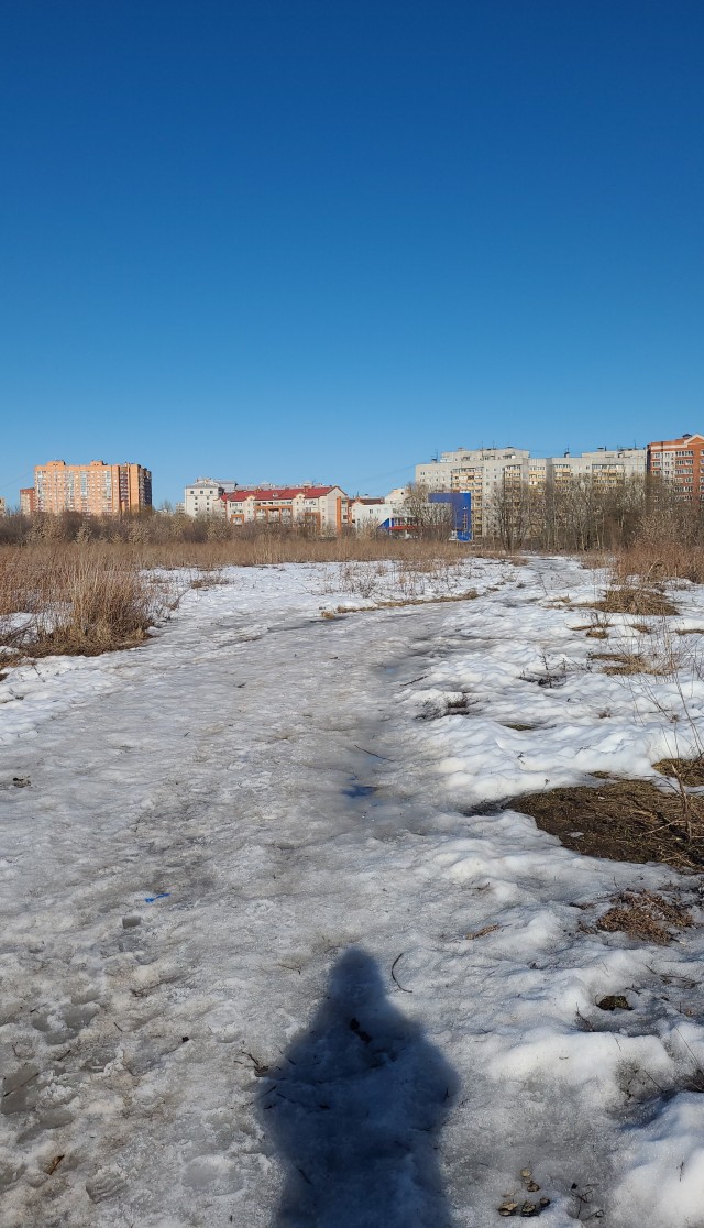 А не бухнуть ли во вторник?