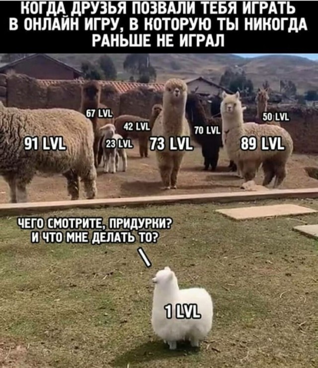 Веселые картинки!