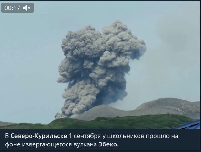 Пандемия съехавших крыш - разновидности болезни. Россия и мир. Часть 41.