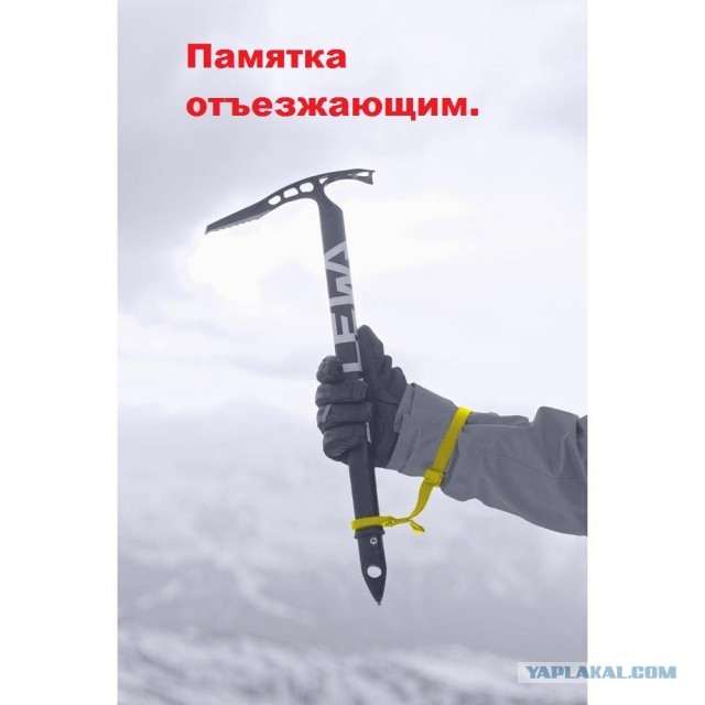 Сердюков и Васильева куда-то потихоньку свалили из России