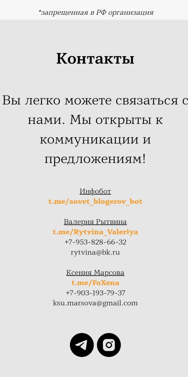 Комитет Госдумы по вопросам семьи, женщин и детей провел первое собрание Всероссийского союза «Социальный блогер»