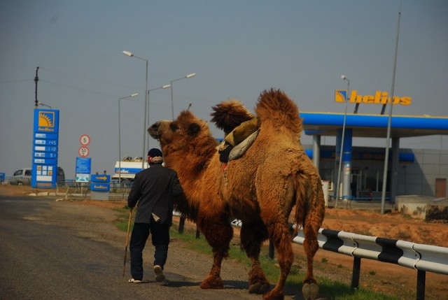 Путешествие на ВАЗе