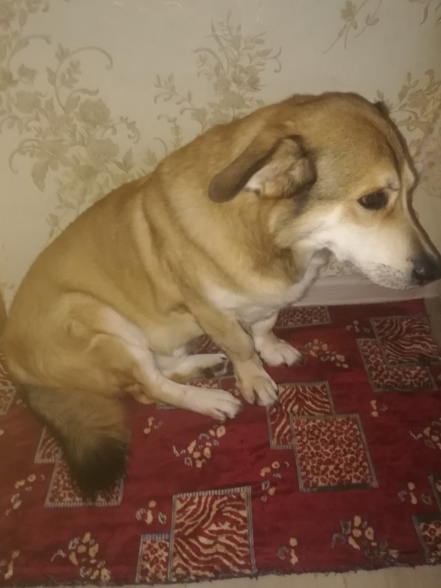 Ну, типа, с четвергом!