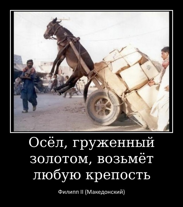 Вот так нужно любить машину