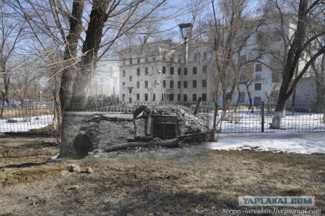 Сталинград: самая кровавая битва всех времён и народов