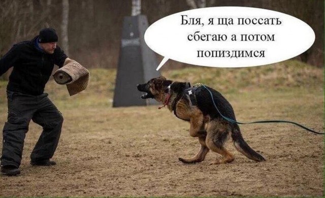Картинки и мемы, всяко разно - 171