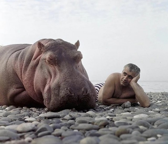 Картинки разные про СССР 07.05.23