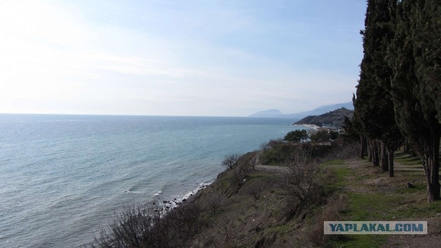 Крым в феврале или "Не стреляйте в белых лебедей!"