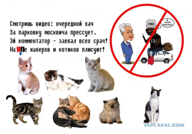 Агитплакаты не для всех
