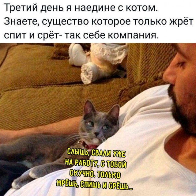 Картинки и мемы, всяко разно - 183