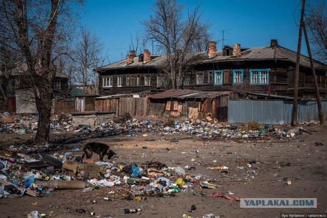 Спецоперация на Украине продлится еще два-три года, заявил заместитель председателя Госдумы Петр Толстой в интервью.