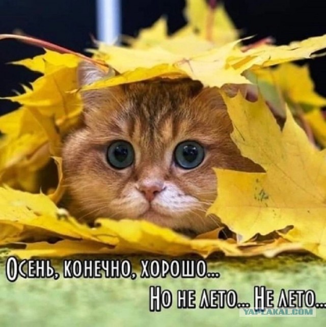 "Ты узнаешь ее из тысячи" Как распознать лесбиянку