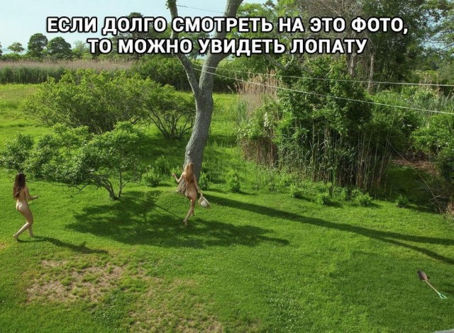 Отряд быстрого деградирования