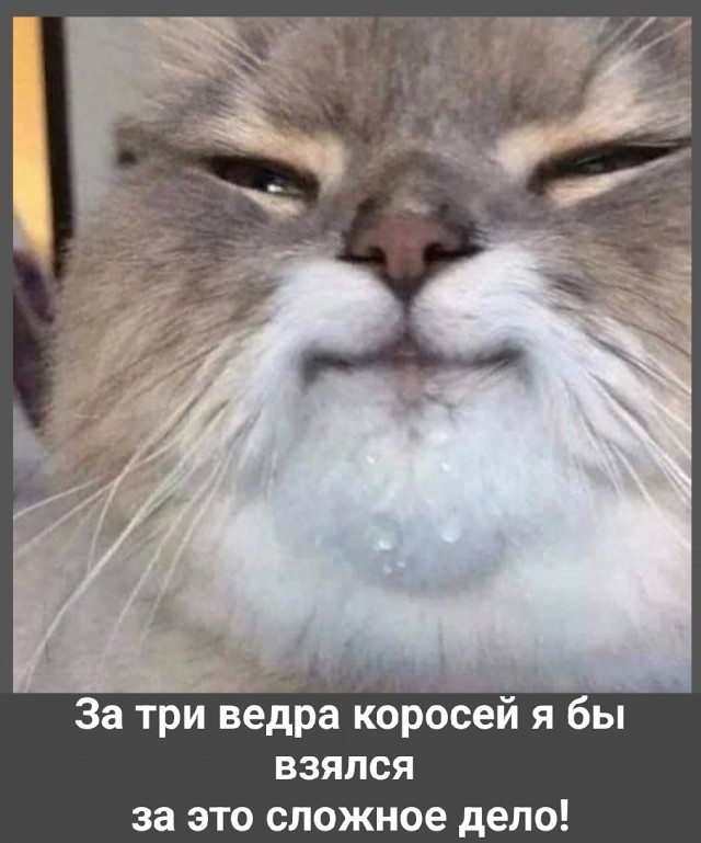 «Платим дорого»