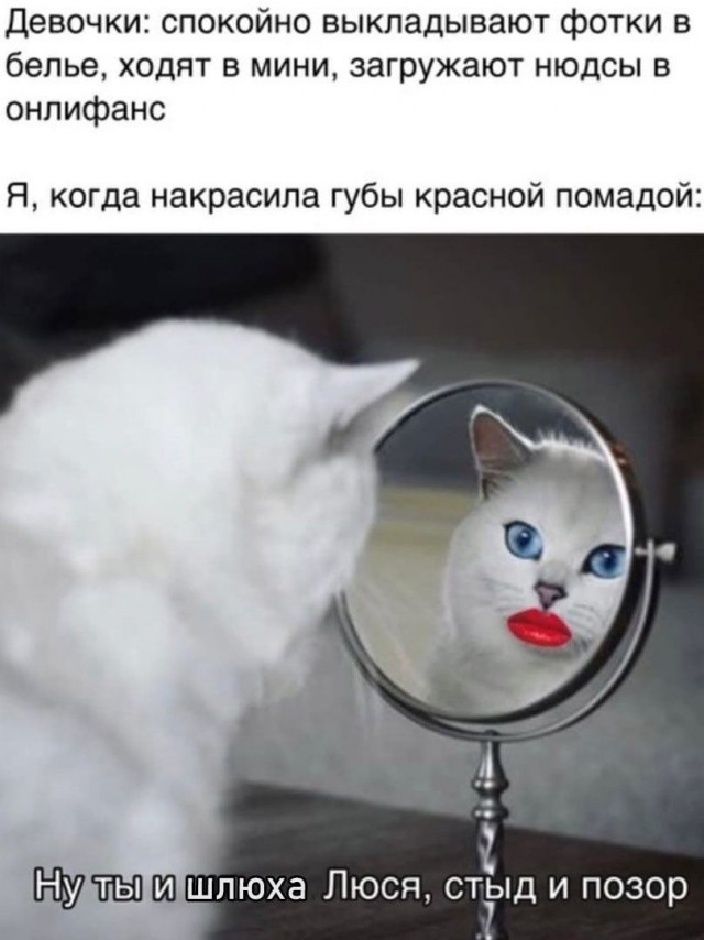 Немного мемчиков. Для взрослых. Часть 33