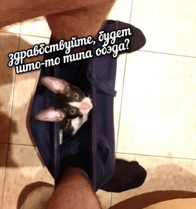 Юмор в картинках и без