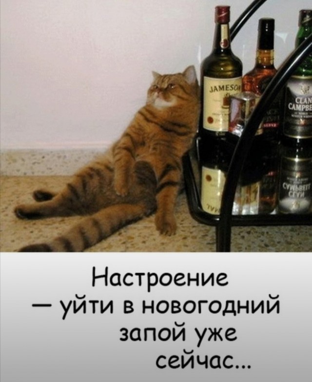 Так себе картинки 21.10.24