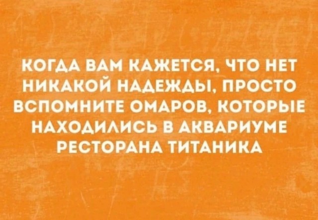 Так себе картинки 22.11.24