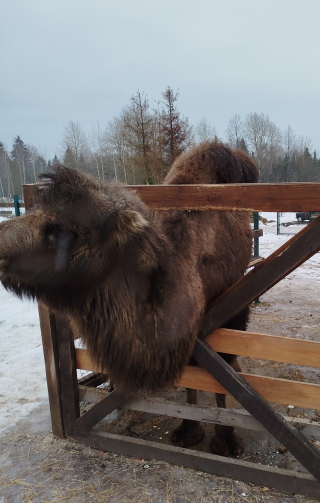 Нашел кого дразнить