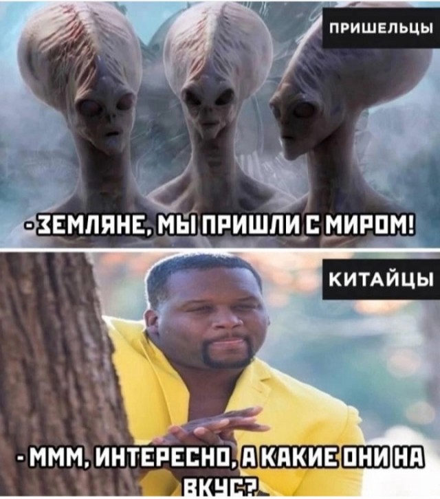 Так себе картинки 28.01.25