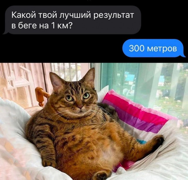 Сегодня четверг