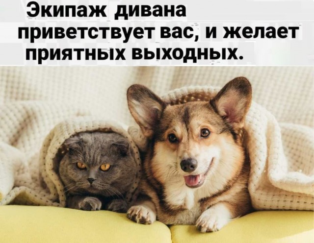 Картинки разные с надписями и без
