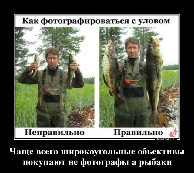 Это Юки, и он робкий волк.
