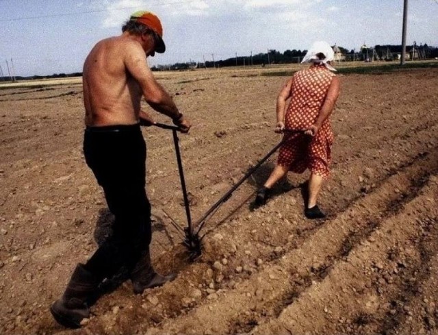 Посадка картошки в Псковской области. 1993 год.