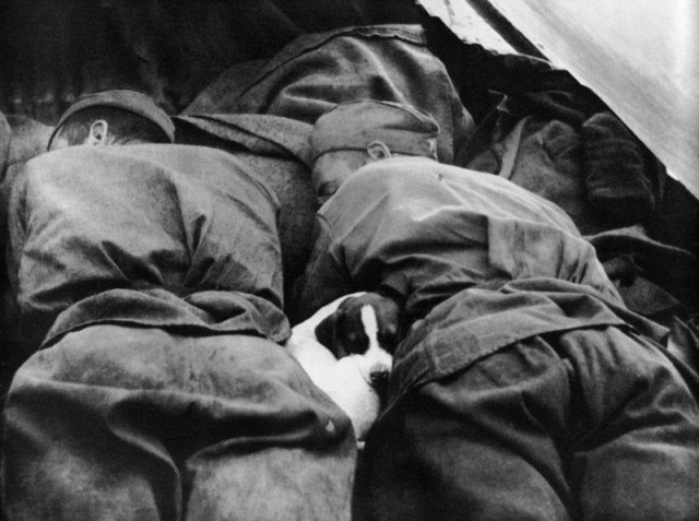 Великая Отечественная в фотографиях-8