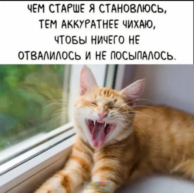 Так себе картинки 09.07.25