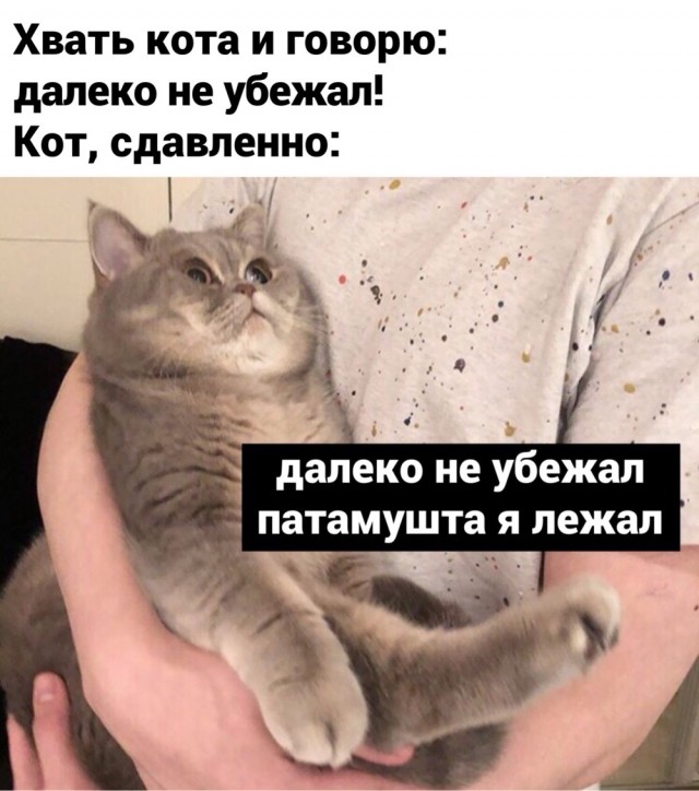 Четверг . Картинки для бодрого утра