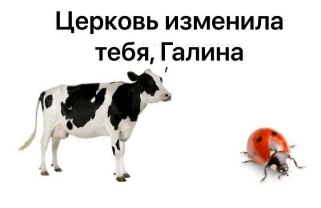Так себе картинки 21.10.25