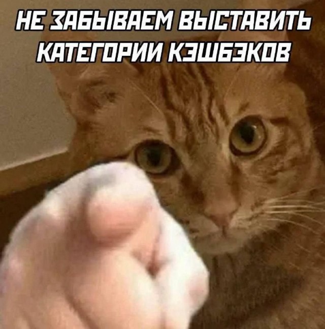 Картинки для деградации 96 (разной степени свежести)