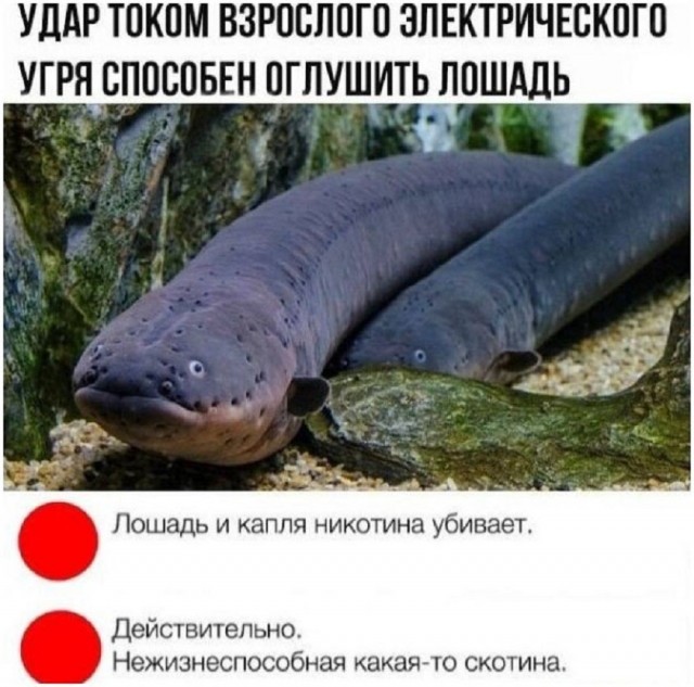 Так себе картинки 16.12.25