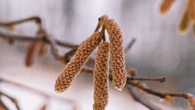 Голубые озера под Казанью