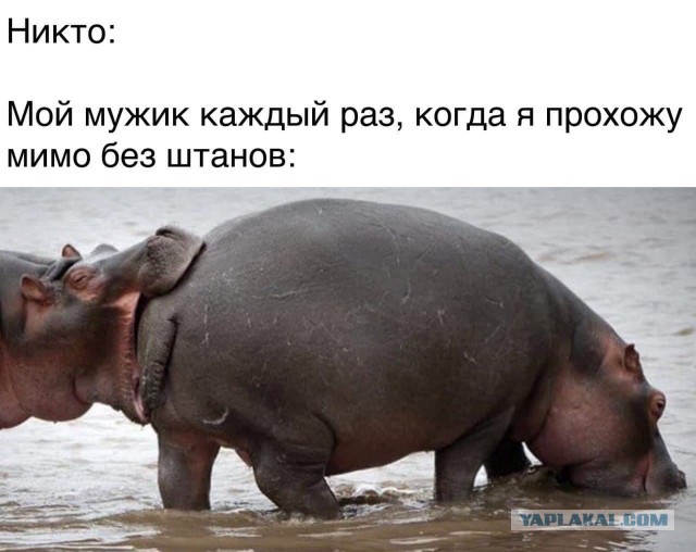 Минуточку