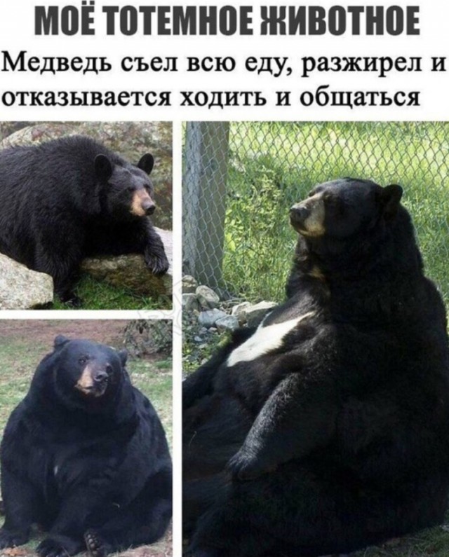 Среды картинки