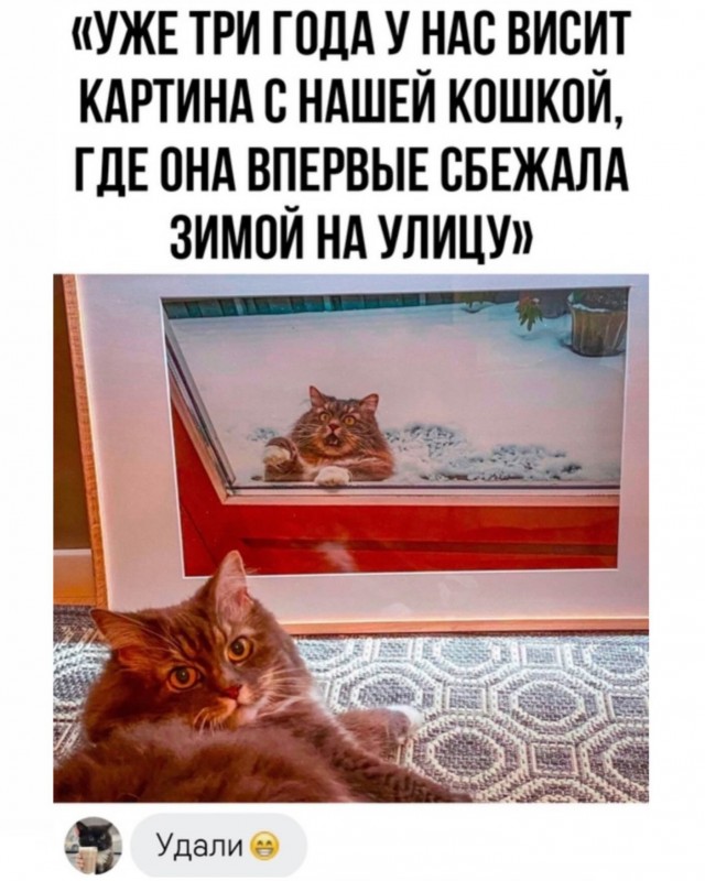 Картинки для деградации 133 (разной степени свежести)