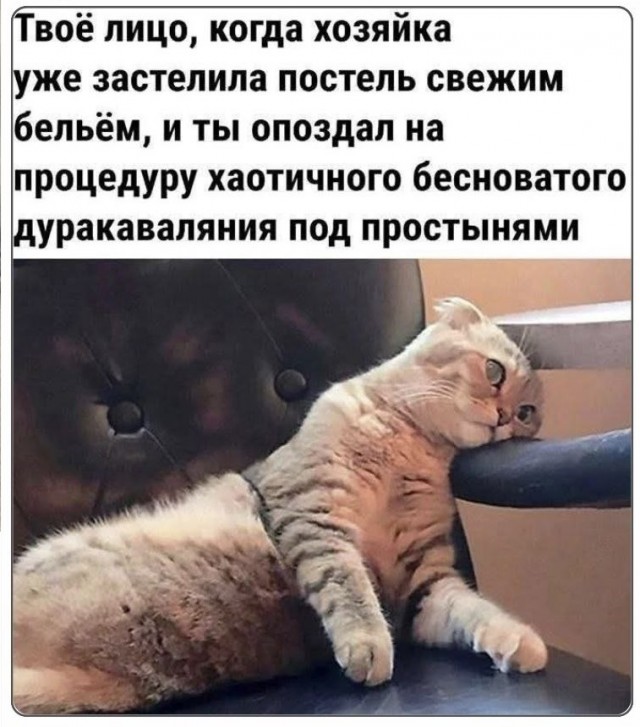 Веселые картинки в понедельник (который вторник) (10.03)