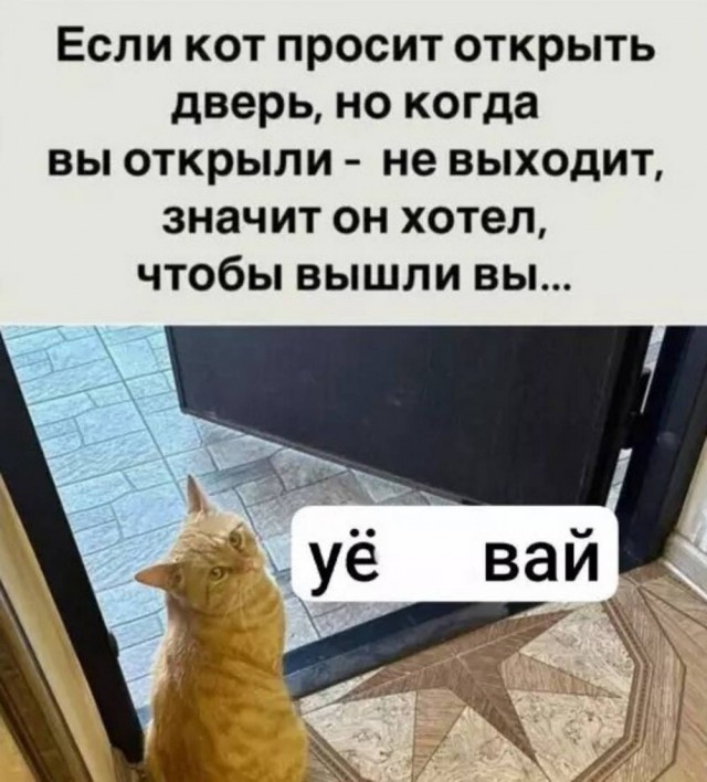 Нуштош. Познание как то, чего следует остерегаться во избежание нервного срыва (s5e6)