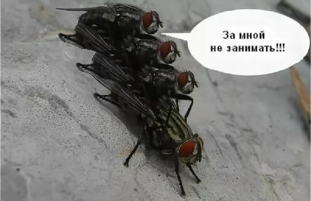 Так себе картинки 14.05.26