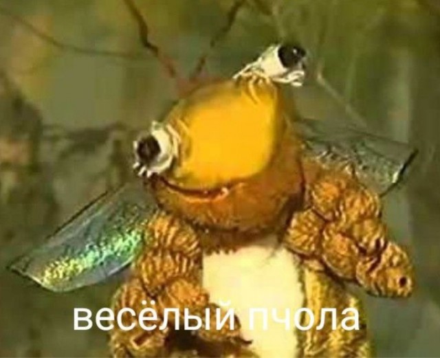 Жёсткий конкурс