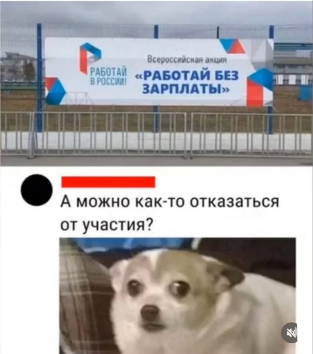 Веселые картинки в понедельник (06.07)